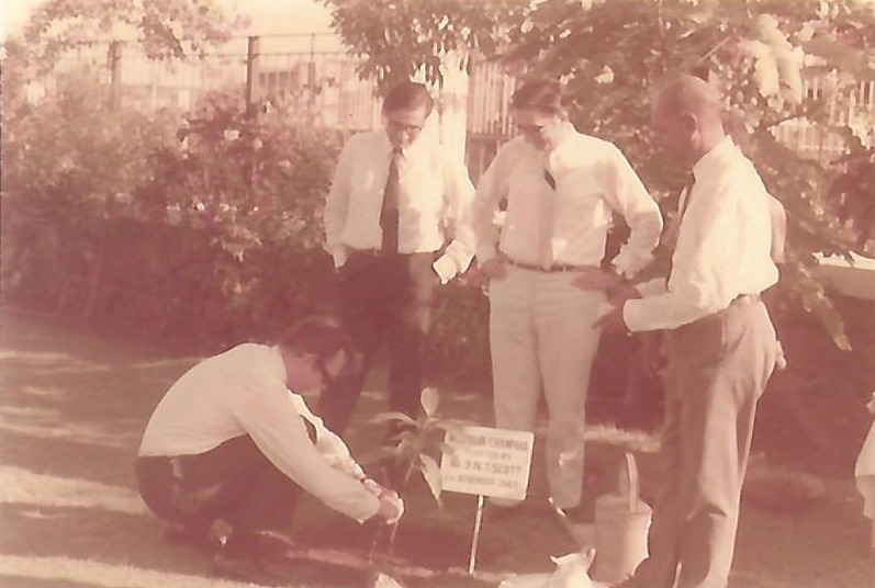 solar-panel-portrait-and-woman-with-engineering
